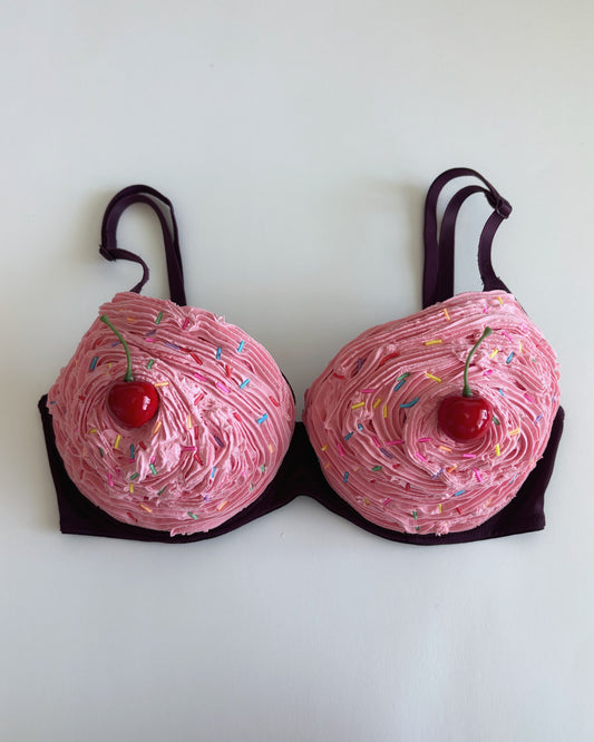 Sample Sale 32D Cupcake Bra